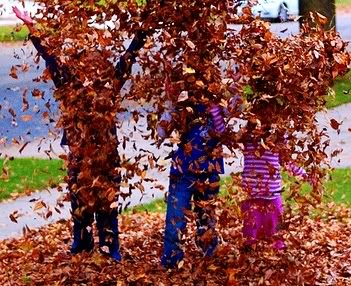 ¡Día de recogida de hojas gratis!